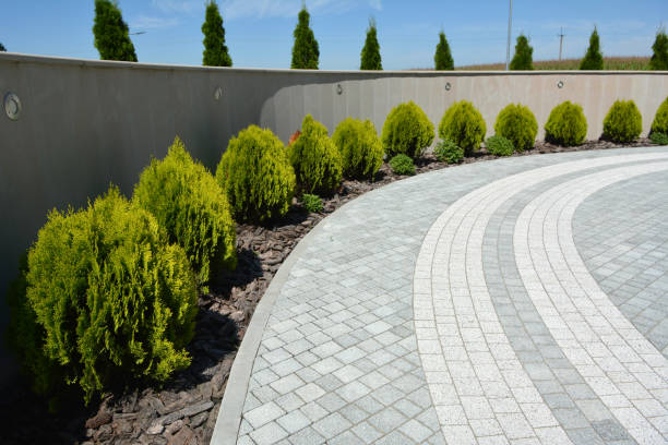 Best Decorative Driveway Pavers  in Val Verde, CA